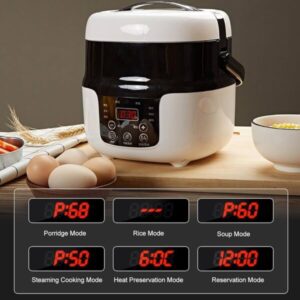 پلوپز 2 لیتر فندکی ماشین کد3777
